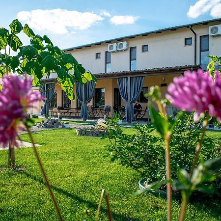 Pensiunea Almada Arad Exteriér fotografie